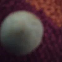 فروشی|کلکسیون اشیاء عتیقه|آبیک, |دیوار