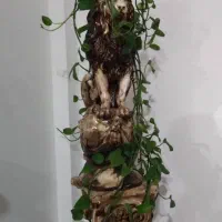 مجسمه نو فروشی