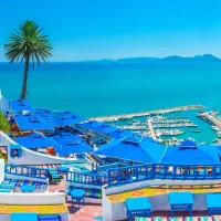 تور تونس|تور و چارتر|تهران, سهروردی|دیوار