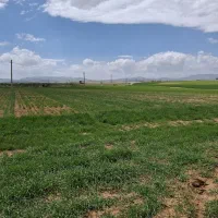 فرصت-استثنایی-برای-سرمایه-گذاری-زمین-کشاورزی
