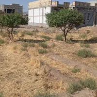 زمین مسکونی پشت قمربنی هاشم