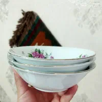 گلسرخی. ورق بزنید|ظروف سرو و پذیرایی|اندیشه, اندیشه فاز ۲|دیوار