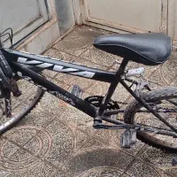 دوچرخه ۲۴ ویوا