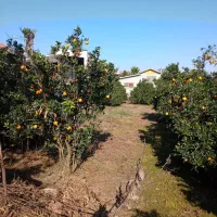 300متر زمین. قابل ساخت با بر10متر