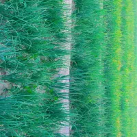 تر پیاز|گل و گیاه طبیعی|آبپخش, |دیوار