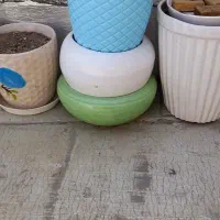 گلدان سفال|گل و گیاه طبیعی|قم, مهدیه|دیوار