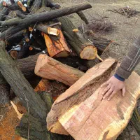 چوب مخصوص زغال