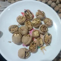 گردو منطقه سامان ،دنبالرودخونه