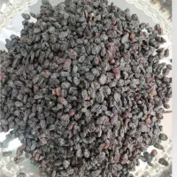 محصولات|حراج|کرمانشاه, |دیوار