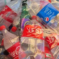 بطری نوشابه جهت کاشت نهال