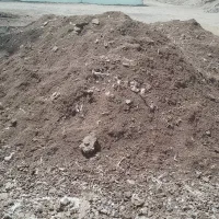 کود مرغ درجه یک فروشی