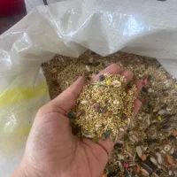 خوراک دام و طیور