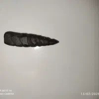 سنگ هبهاب|کلکسیون اشیاء عتیقه|کرمانشاه, |دیوار