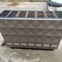 بخاری بزرگ سالم