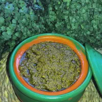 قرمه سبزی.آبغوره.رب انار.رب الوچه.خیارشور