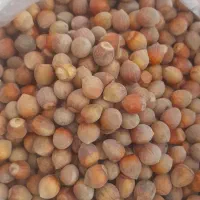 فندوق طارم|خوردنی و آشامیدنی|زنجان, |دیوار