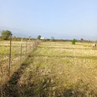 زمین باغی 3000 متری ممتاز نزدیک ساحل با چاه عمیق