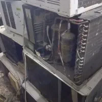 خرید گولر به قیمت بالا  از شما خریدارم