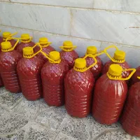 رب خانگی