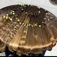 نیکادل تنها شعبه اصلی خرید مو خریدار مو