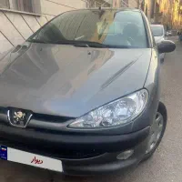 ۲۰۶ دور رنگ