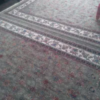 قالی ۷۰۰ شانه