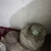 کپسول سالم بوتان باپکنیک