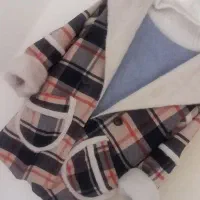 پالتو|لباس|آبیک, |دیوار