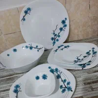 آرکوپال ۱۲ نفره