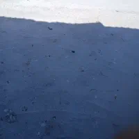 کبوترسوراخی