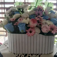 فوری. پک بله برون کامل. با چادرعروس