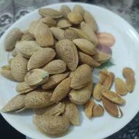 بادام خوشمزه وتازه ومغز درشت