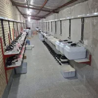 دستگاه جوجه کشی 96 تایی+ارسال رایگان به سراسرایران|لوازم جانبی حیوانات|یاسوج, |دیوار