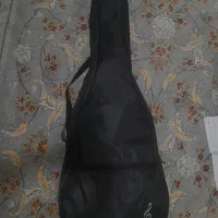 کیف گیتار