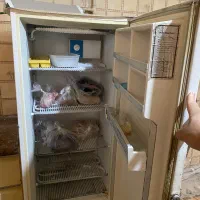 فریز|یخچال و فریزر|اهواز, گلستان|دیوار