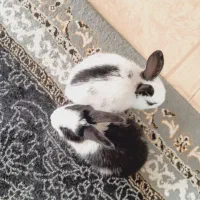 جهت آگاهی به تماس شوید