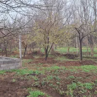 باغ|فروش دفتر صنعتی، کشاورزی، تجاری|کنگاور, |دیوار