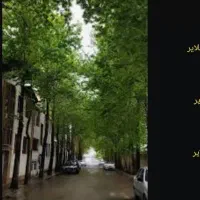 کرایه مغازه در عارف   عکس تزیین