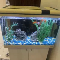 آکواریوم ماهیران ۸۰ سانت