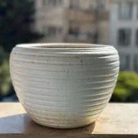 گلدون و پایه|گل و گیاه طبیعی|کرج, گوهردشت|دیوار