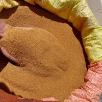 خاکشیر تمیز درجه یک