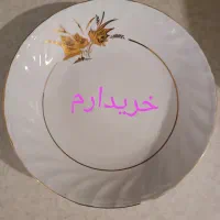 چینی اسپیدار|ظروف سرو و پذیرایی|تهران, دریاچه شهدای خلیج فارس|دیوار