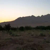 فروش طرح کشاورزی5500 مترطرح عمان سامان|اجارهٔ دفتر صنعتی، کشاورزی، تجاری|سامان, |دیوار