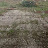 خدمات علف زنی و سمپاشی با دستگاه با قیمت مناسب|خدمات باغبانی و درختکاری|صومعهسرا, |دیوار