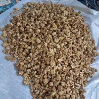 گردو با پوست لواشک الو