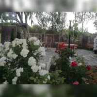 سفره خانه سنتی|خدمات پذیرایی، مراسم|همدان, |دیوار