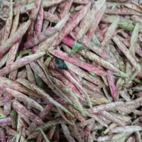 لوبیا تازه چین ودرشت|خوردنی و آشامیدنی|کلاچای, |دیوار