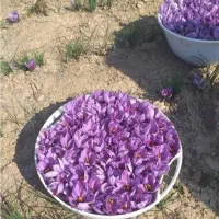 زعفران نگین خراسان صادراتی|خوردنی و آشامیدنی|کرج, شهرک بنفشه|دیوار