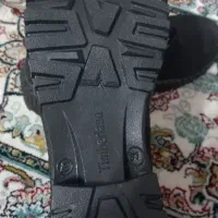 کفش زنانه|کیف، کفش، کمربند|بیرجند, |دیوار