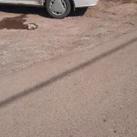 پراید ۱۳۲ دوگانه دستی